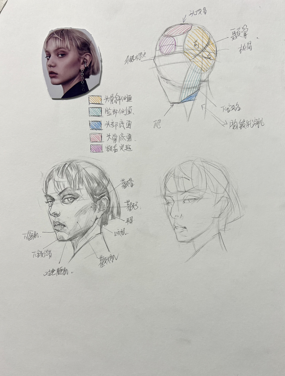 素描头像体块面讲解