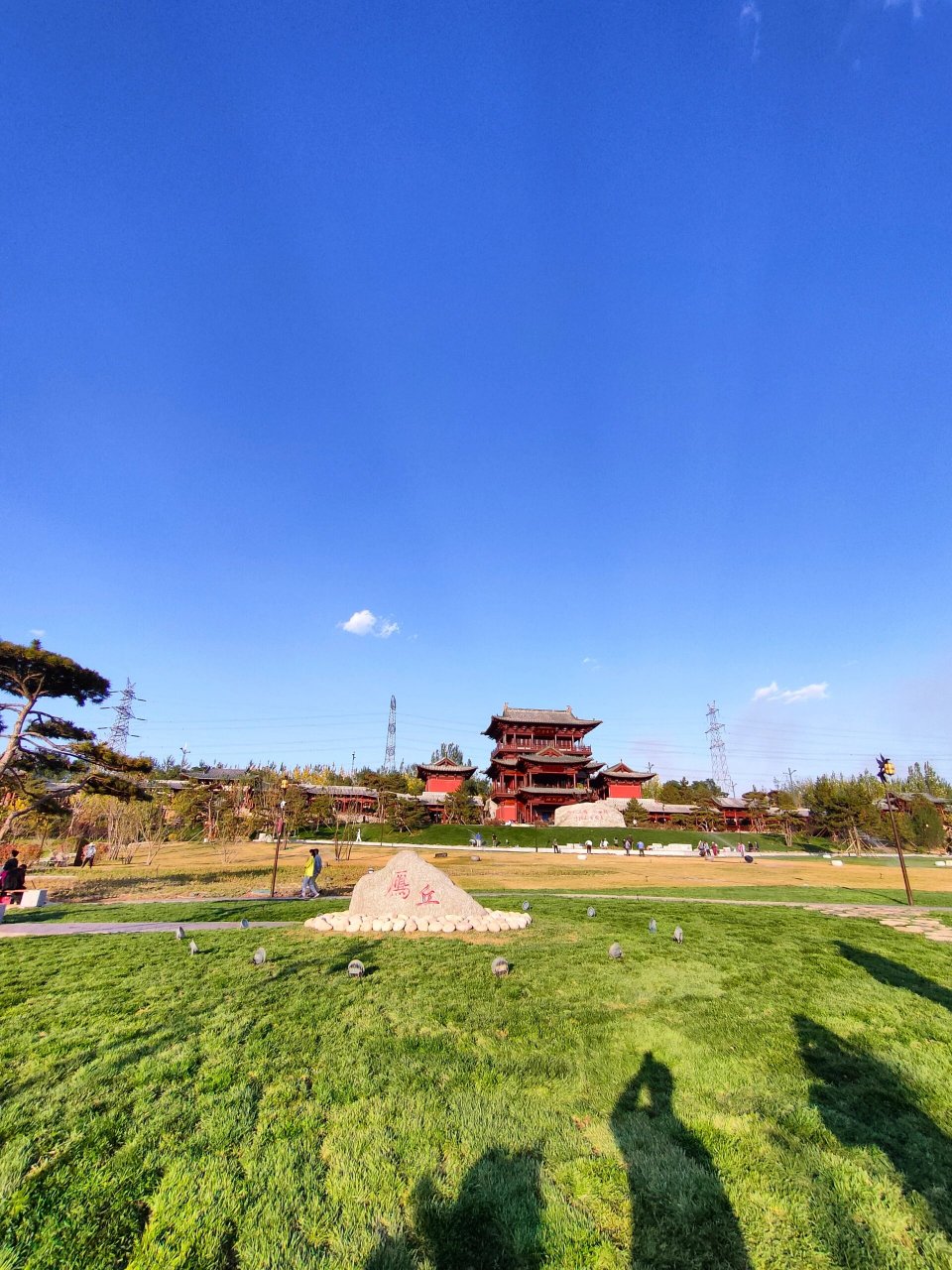 来太原汾河公园四期雁丘园感受秋天 堤边柳,到秋天,叶乱飘 67叶落尽