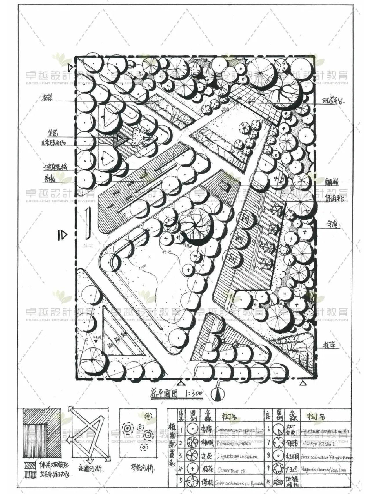 风景园林景观平面图线稿手绘合集【卓越】