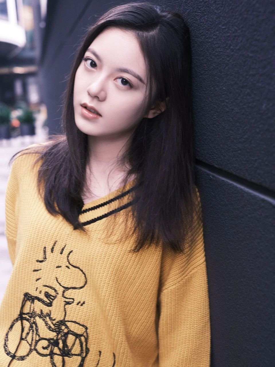 赵今麦美照收集 曾经的小女孩已经长大,有谁还记得她?