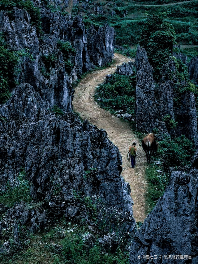 最美石林不在云南