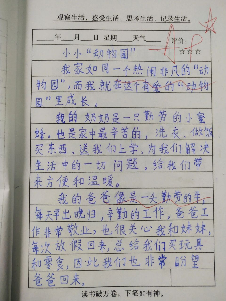 400字作文75四年级上册作文99小小动物园