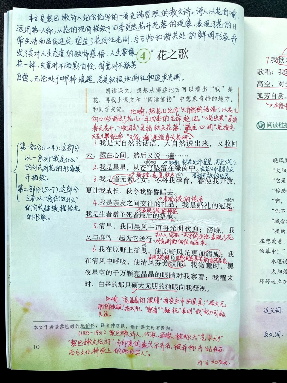 六上|六年级上册课文4《花之歌》超详细笔记