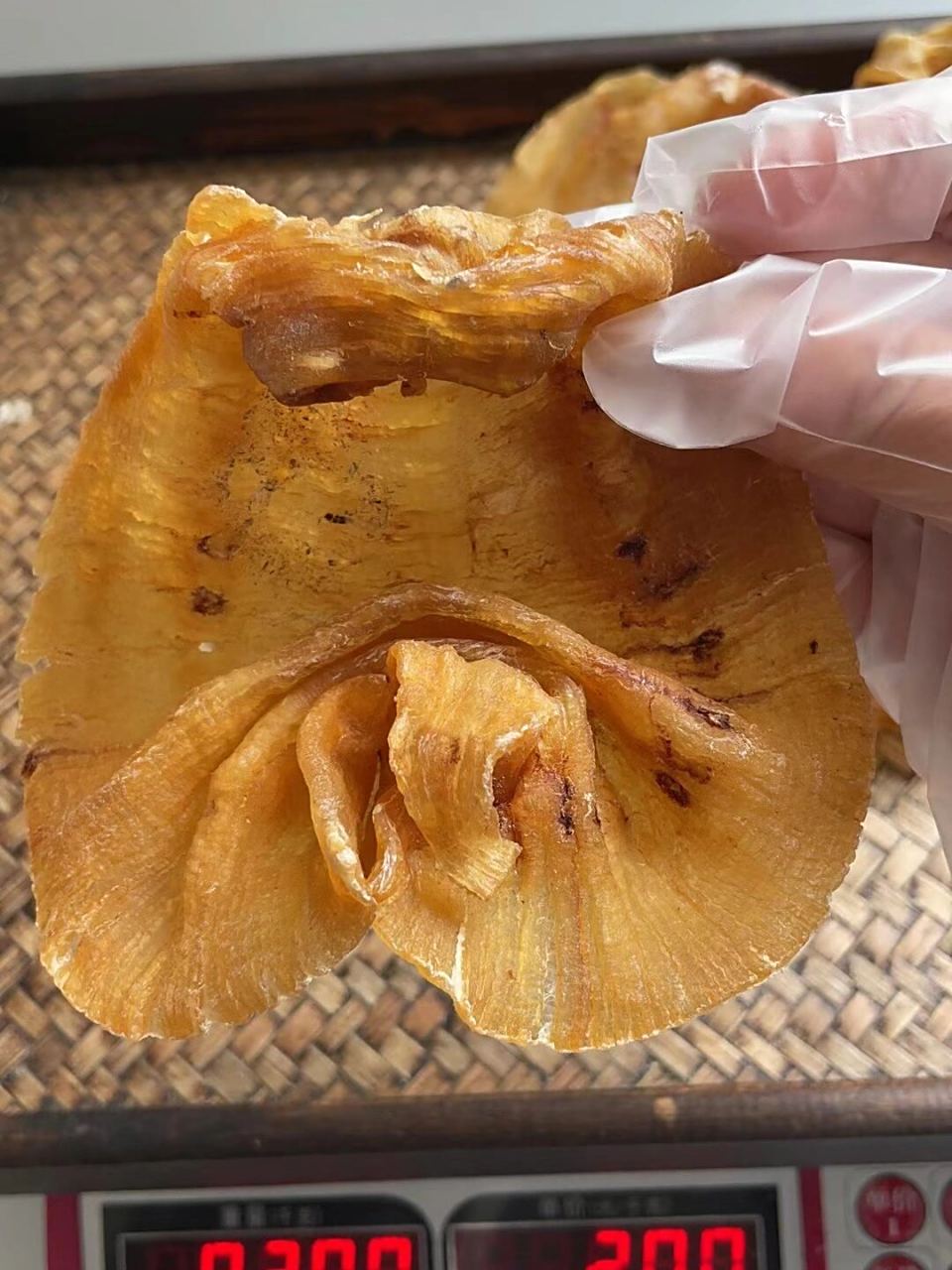 【野生白鳘胶】10年老胶,石首科鱼胶功效都不会差,性价比极其高,口感q