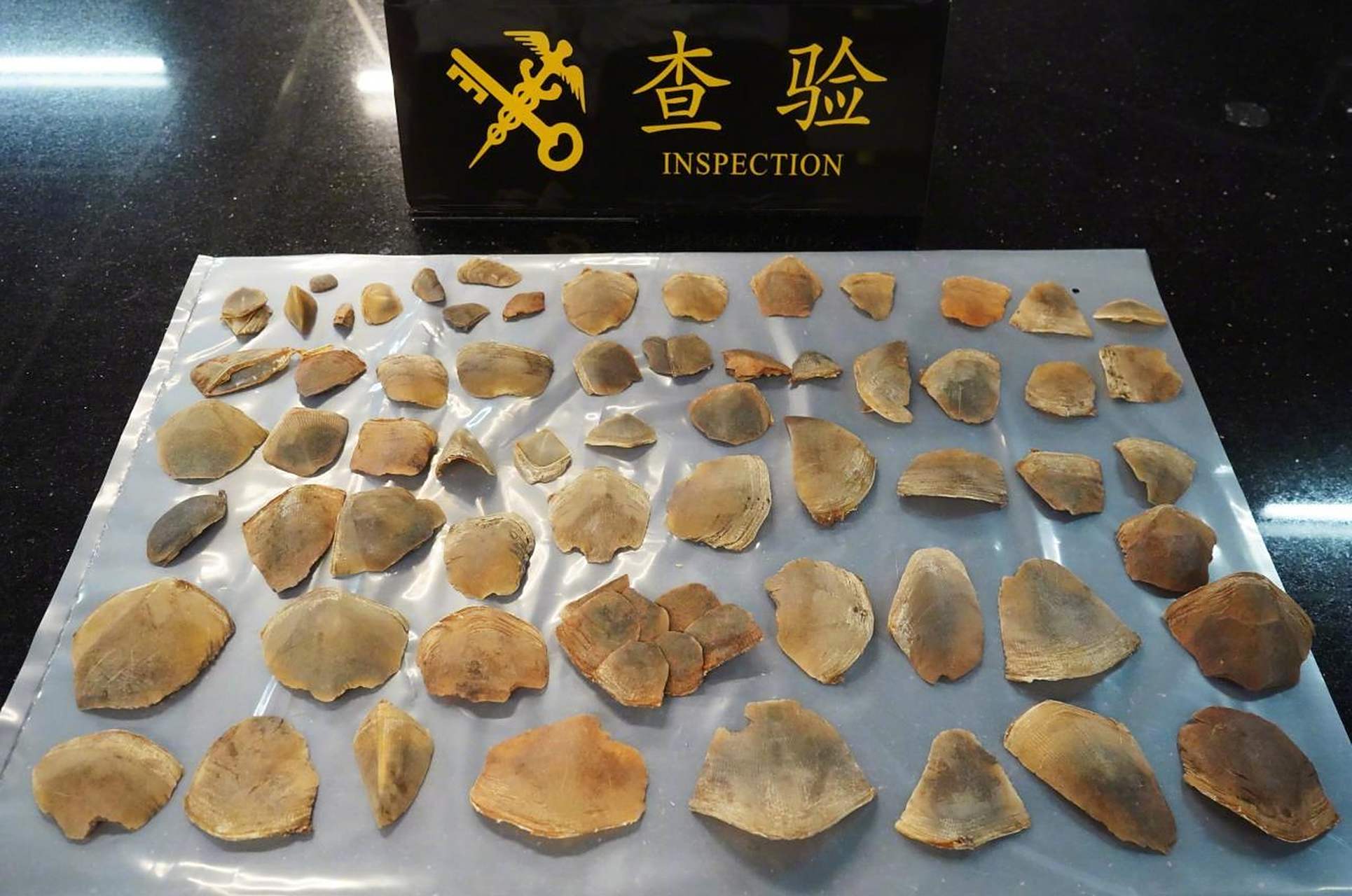 【珠海拱北口岸#闸口海关截获60余枚大穿山甲鳞片#】日前,吴某驾驶