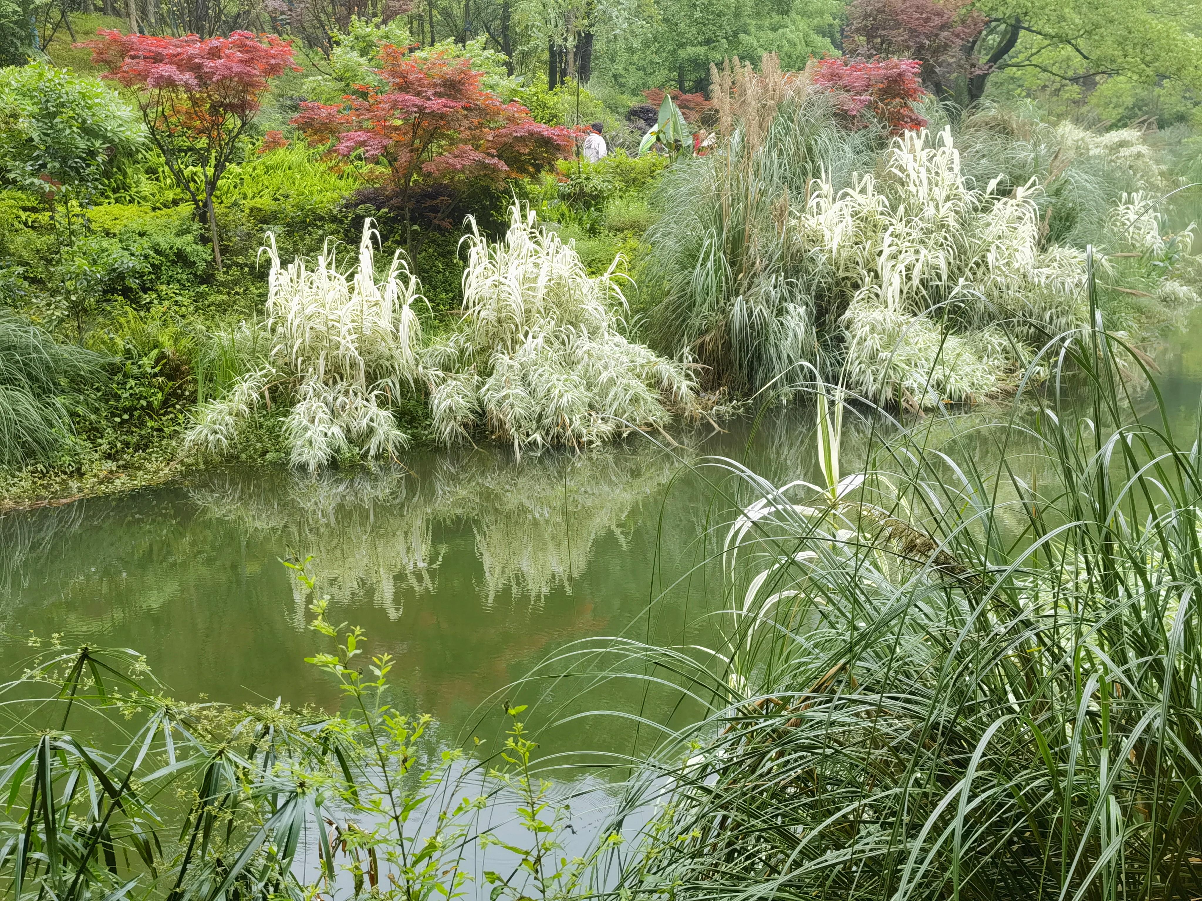 玉黛湖风景区图片