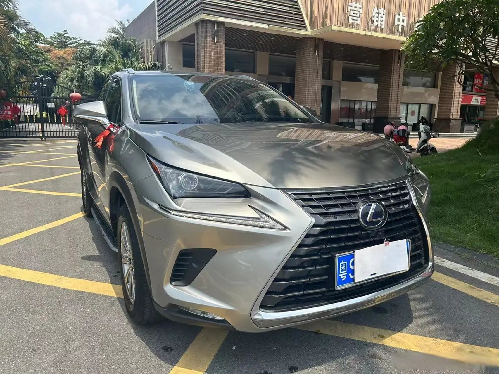 2021年雷克萨斯nx300油电91混合动力2.