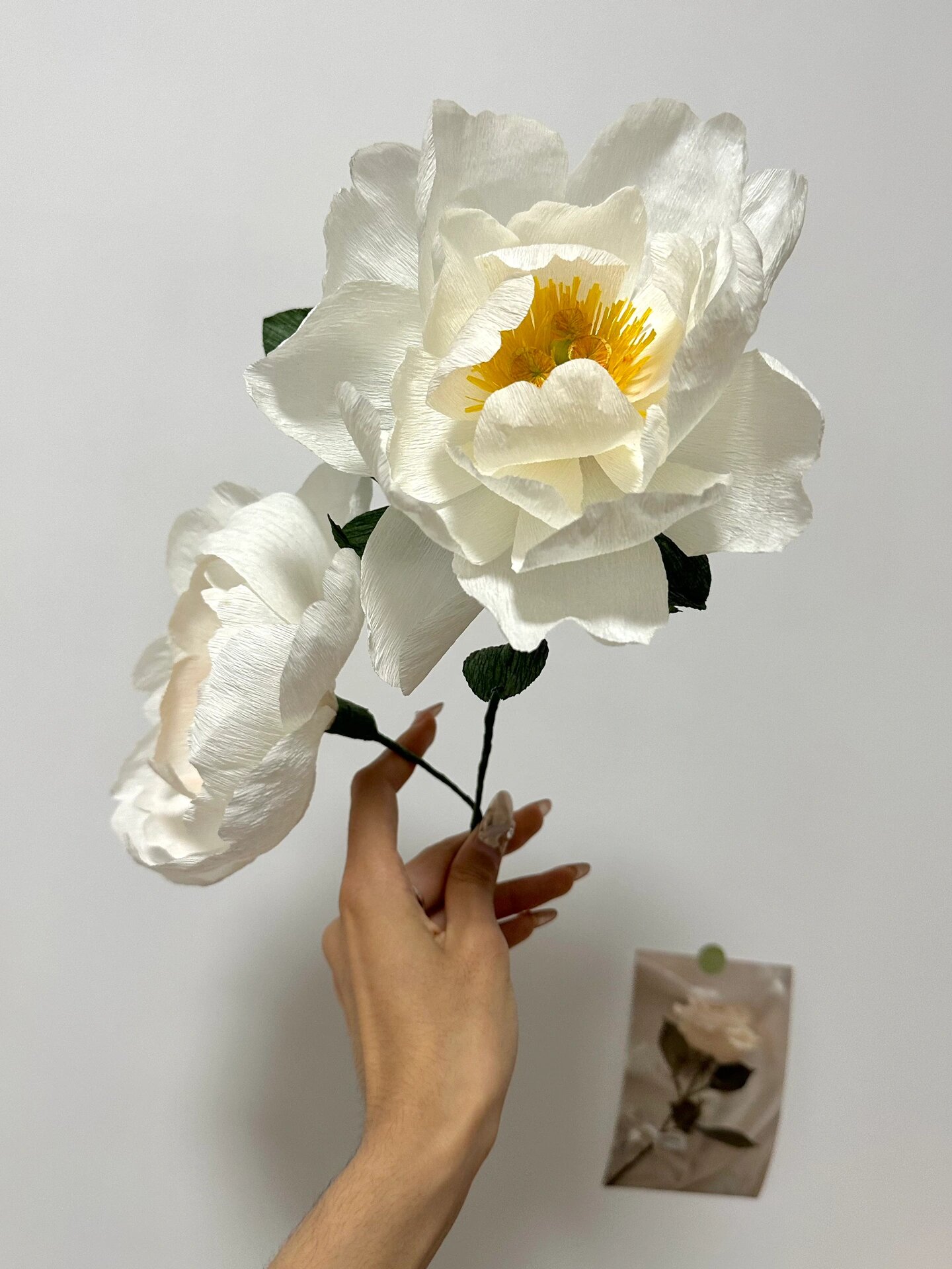 皱纹纸纸艺花 | 一朵奶油碗芍药