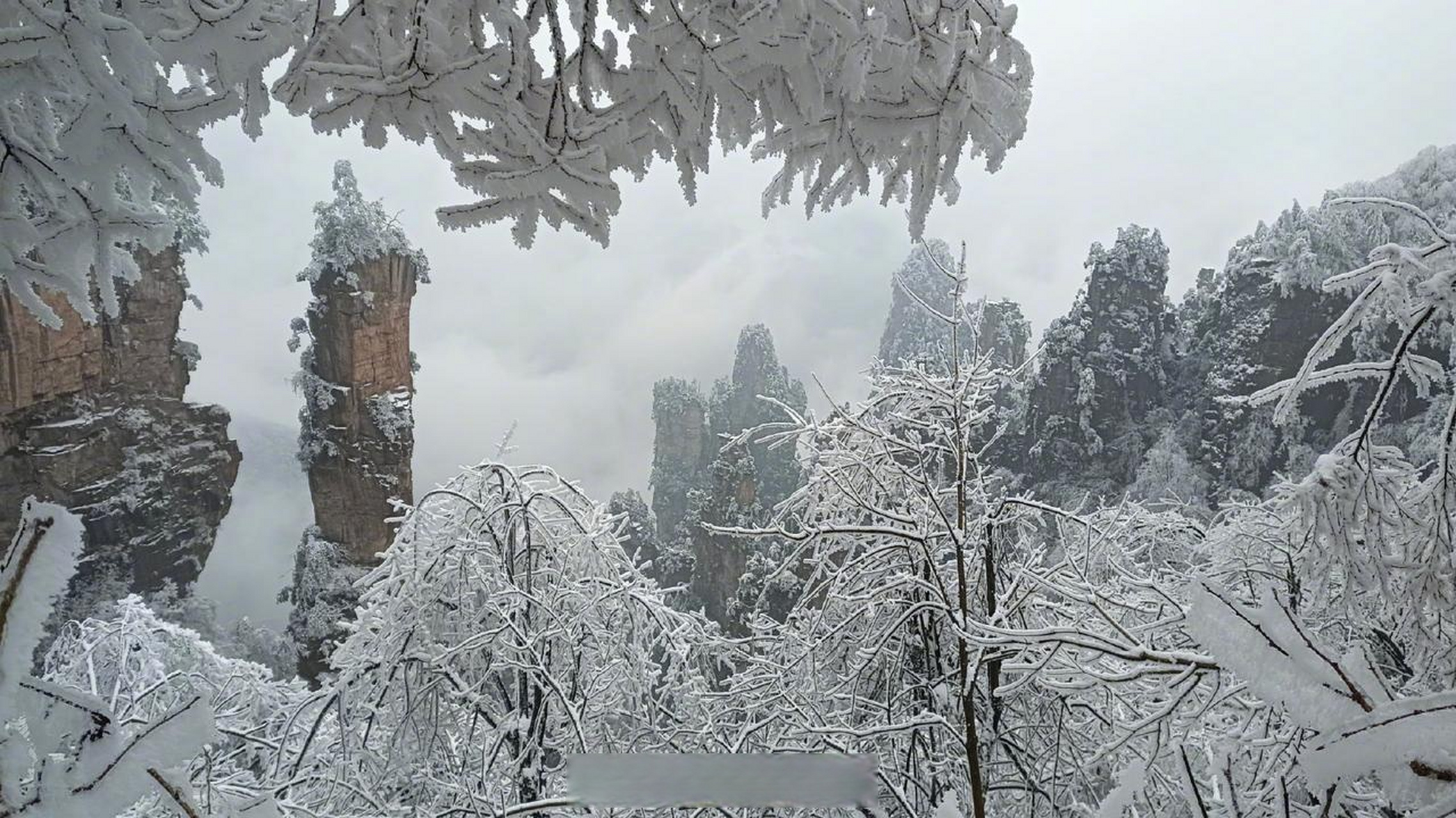 【除夕日,张家界雪景醉游人】云涌张家界,雪上天子山.