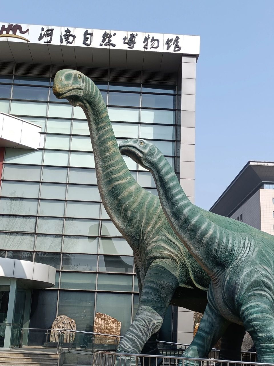 河南自然博物馆 河南自然博物馆 地址:郑州市金水东路18号 乘车:公交