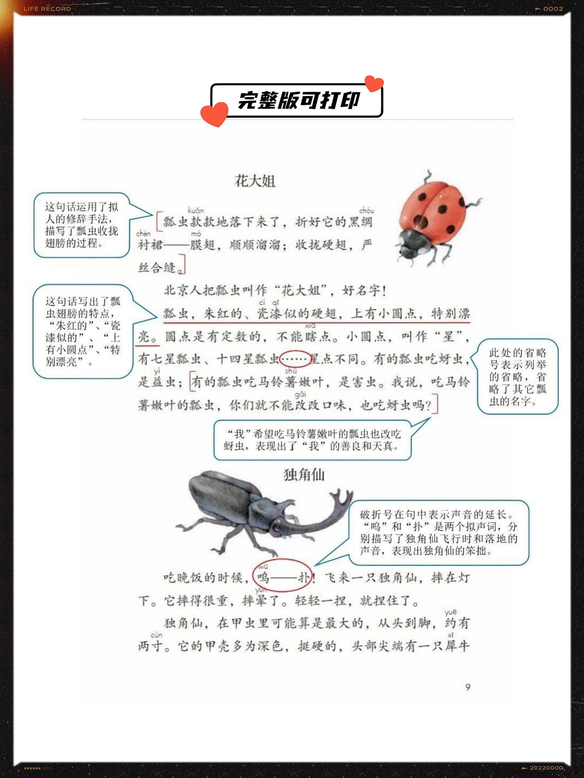 昆虫备忘录资料三年级图片