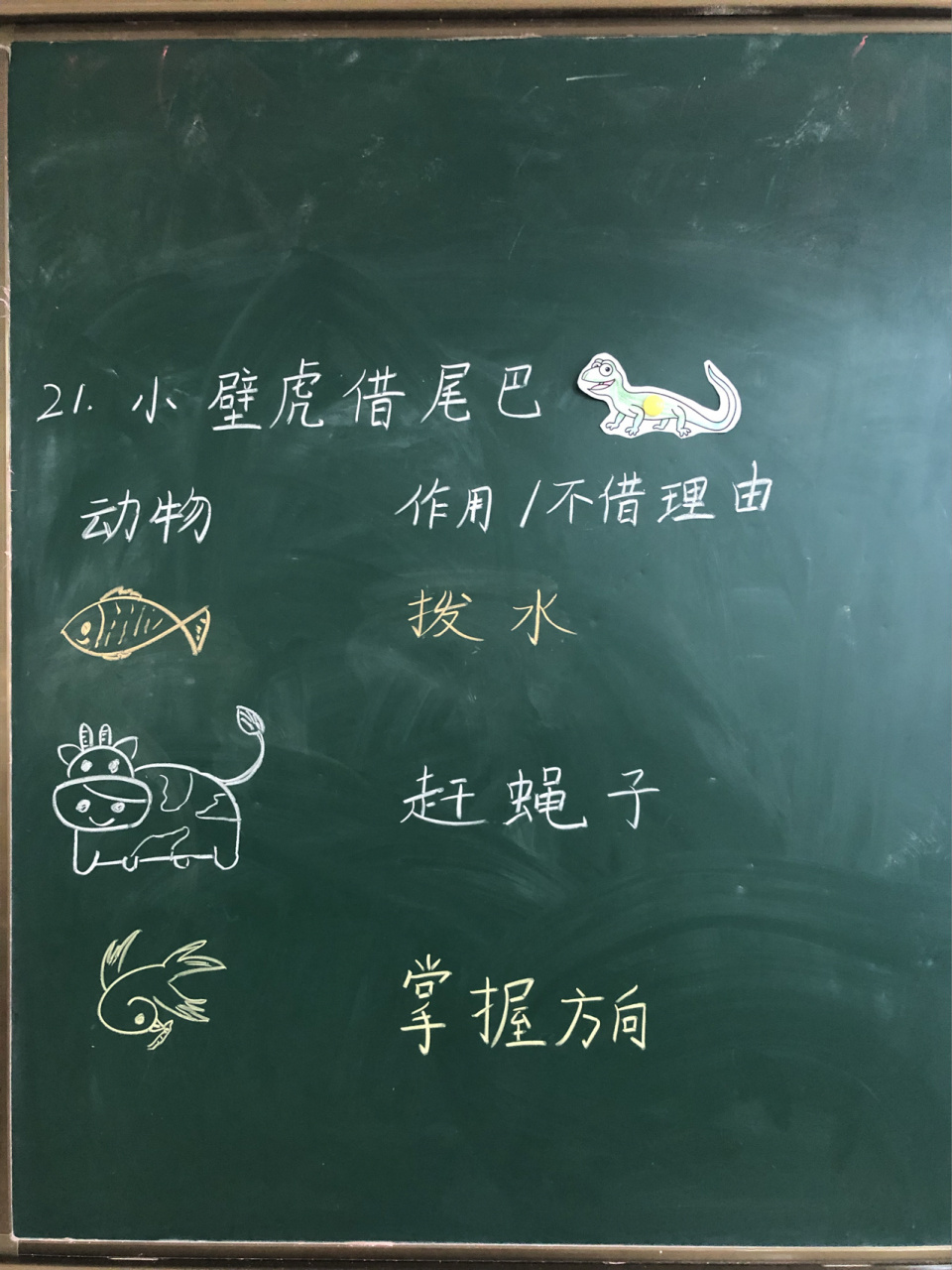 小壁虎借尾巴板书设计 最后一课啦!还有语文园地就ko了哈哈哈!