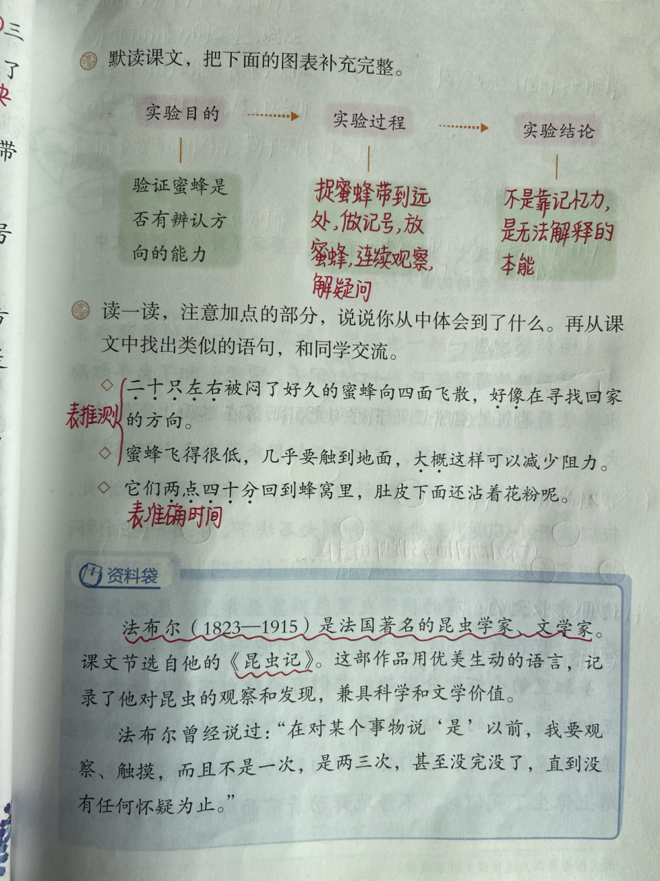 三年级语文下册 第14课 《蜜蜂》