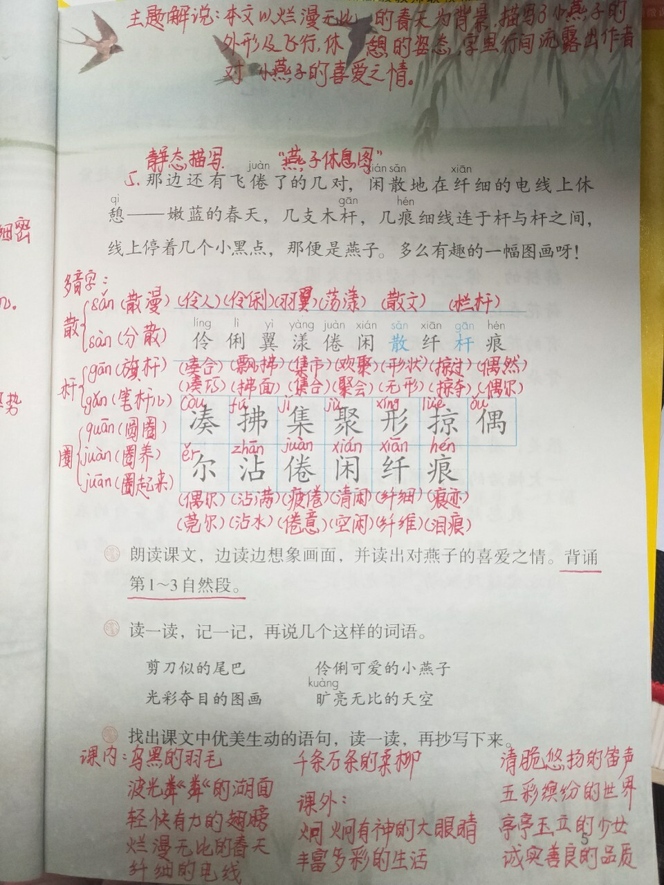 三年级语文下册第二课《燕子》课堂笔记
