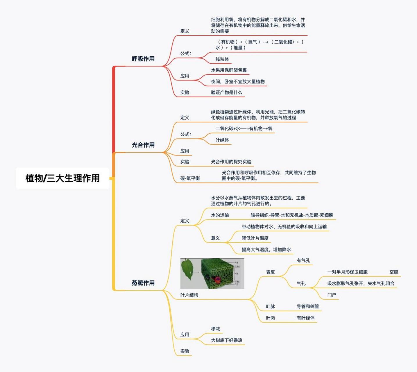 初中生物思维导图&植物篇 将初中生物关于植物的部分做个整理,有需要