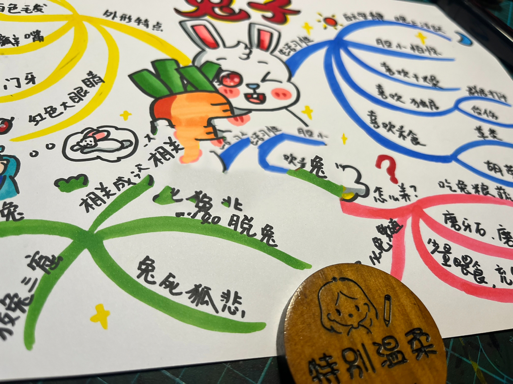 小兔子 思维导图    原创