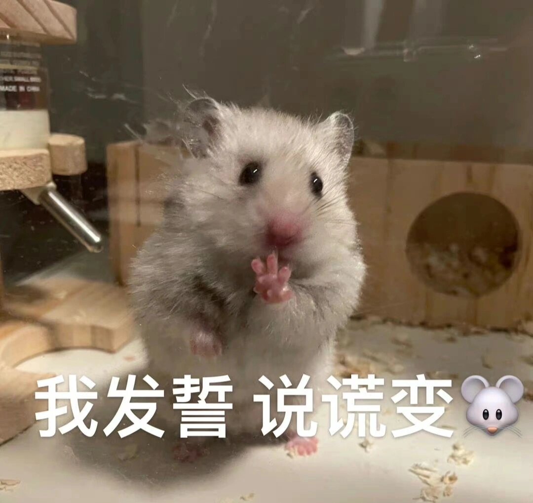 我发誓!说谎变老鼠! 撒谎的鼠鼠表情包