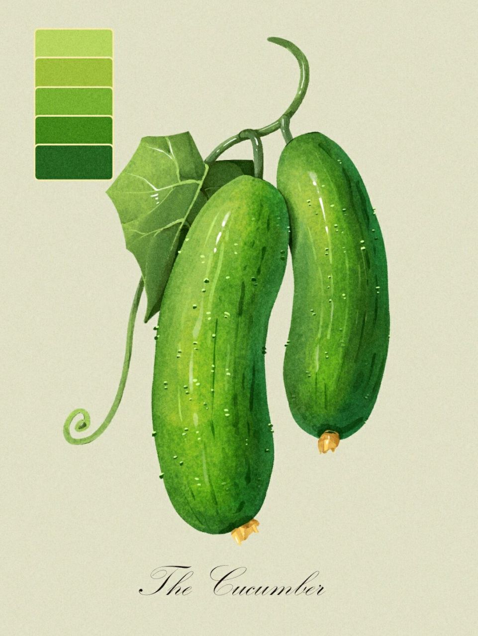 小物件插画分解丨小黄瓜 今天来学习一下小黄瓜怎么画提高技能在于不