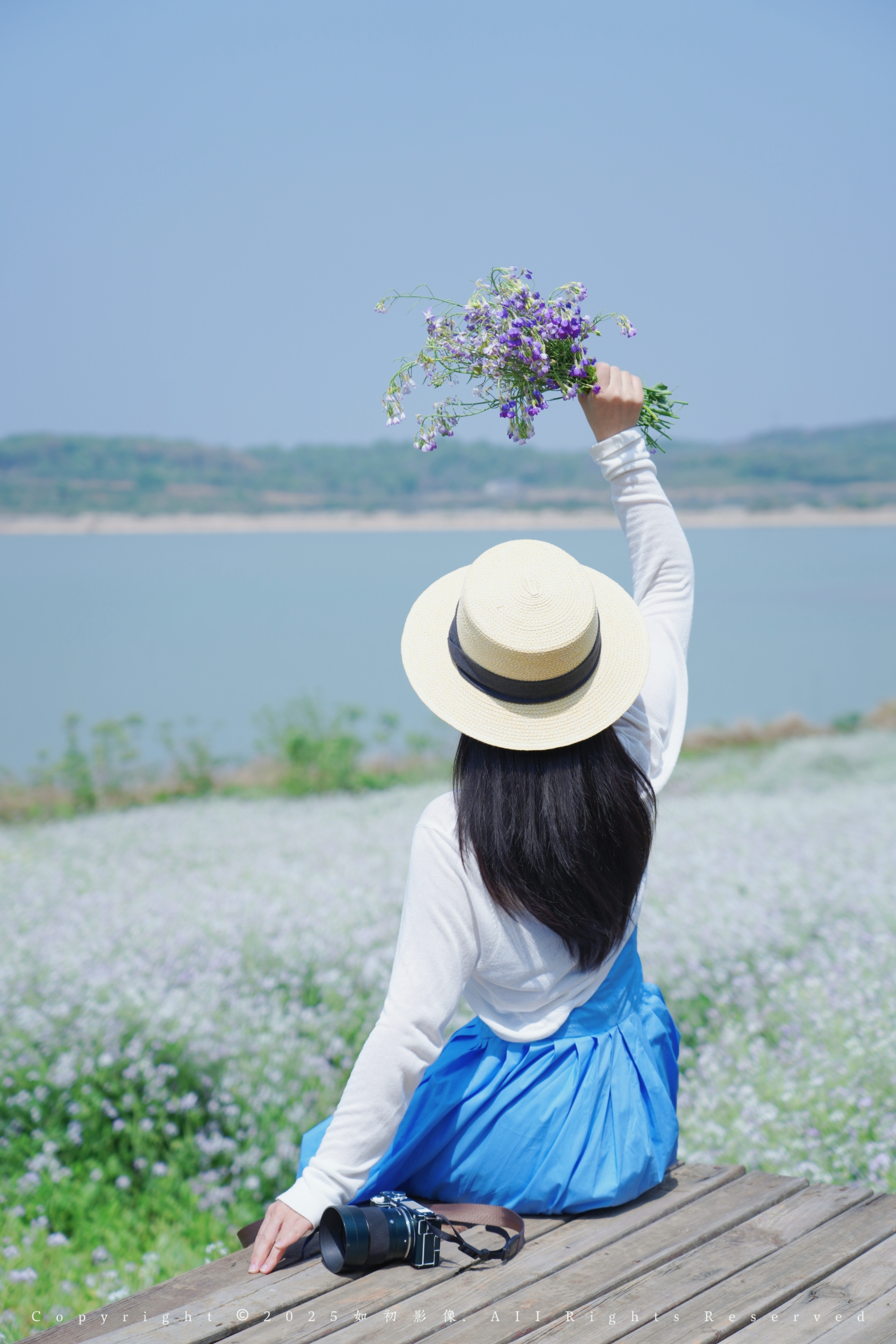 然而,这些平凡的花朵相