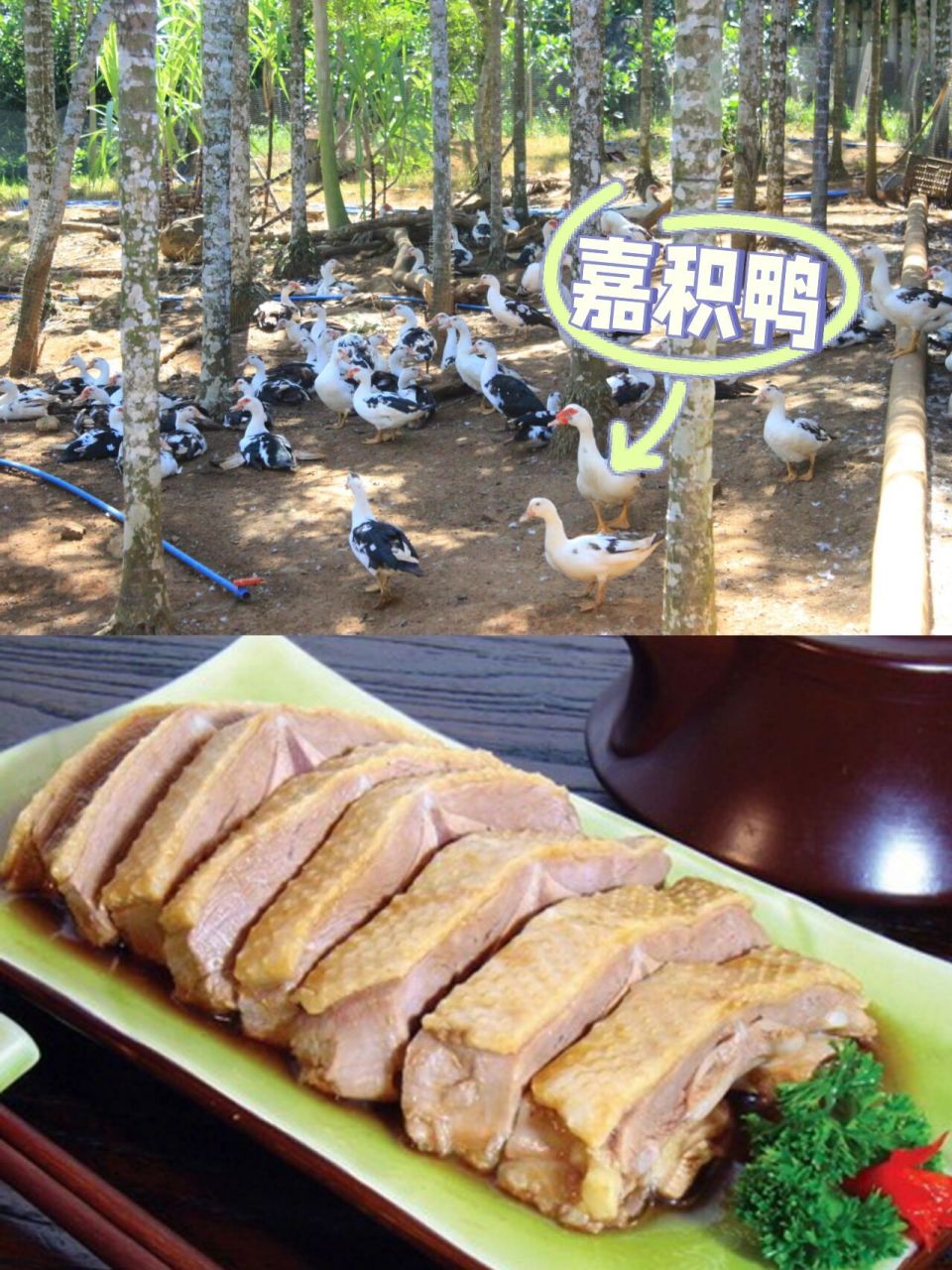 海南四大名菜|文昌鸡|和乐蟹|东山羊|嘉积鸭 来海南必吃必吃必吃的