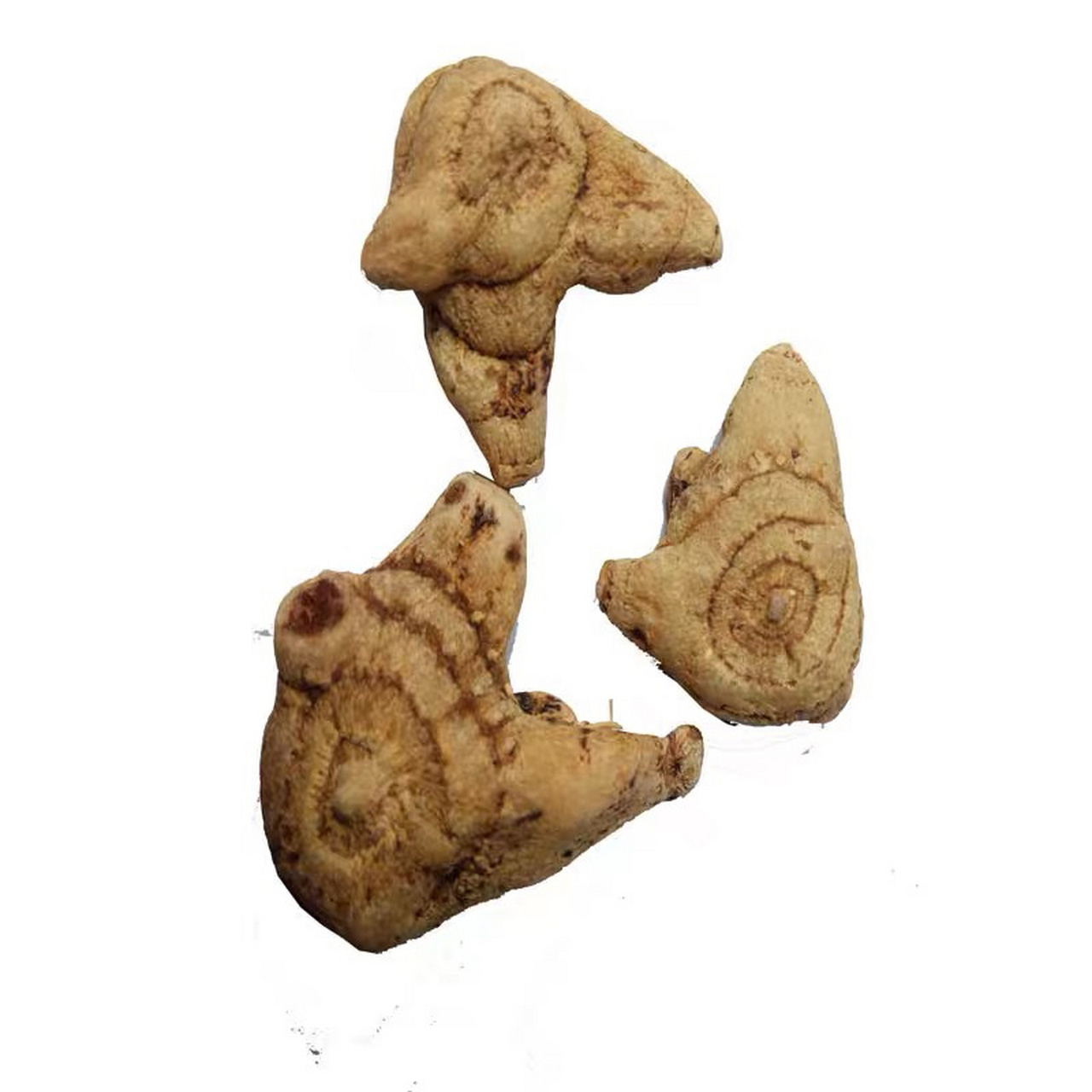 白芨 白芨,兰科植物,又叫白及,是白芨植物假鳞茎部位经过晒干而制成的