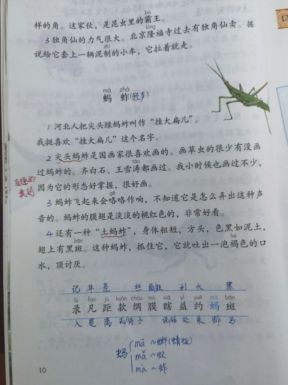 【备课笔记】三下语文《昆虫备忘录》