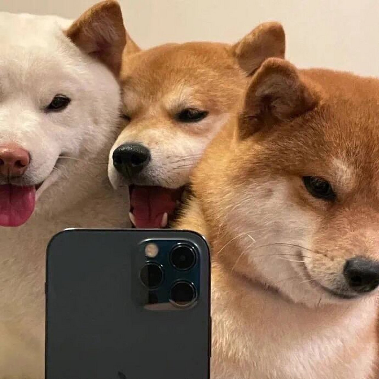 超哇塞的三人头像 我们的友谊差一个有趣的头像