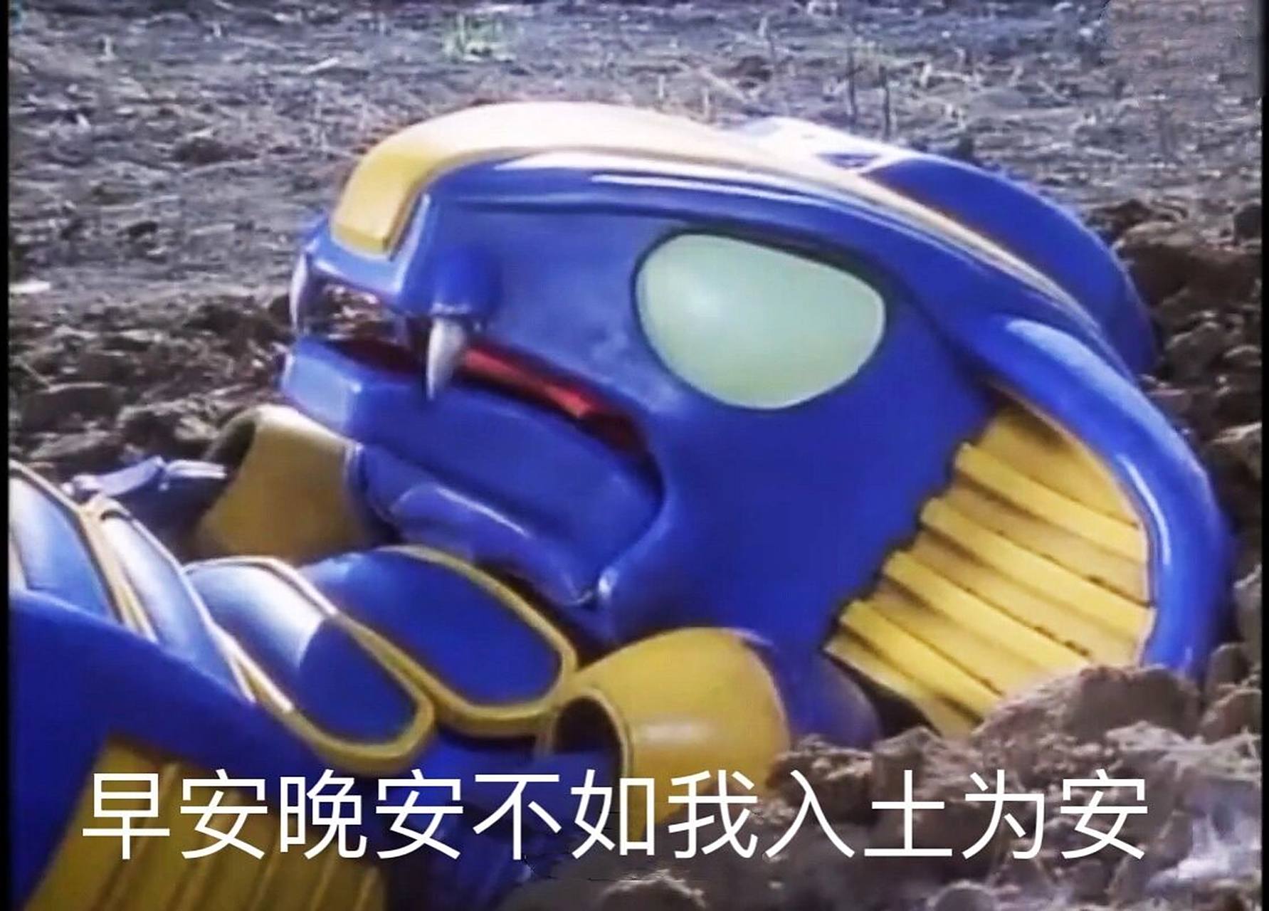 当我把《铁甲小宝》做成表情包 给卡布达和蟑螂恶霸配上了一些可(qi)