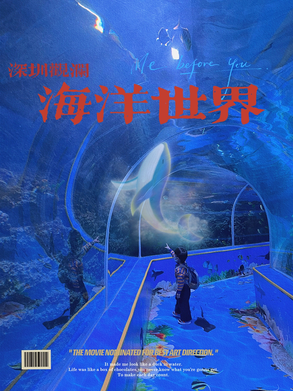 观澜海洋世界(观澜海洋世界在哪里)