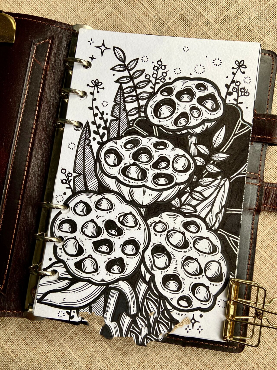 原创/黑白手帐插画61莲蓬[内附绘画过程] 纸:丽琦纸 笔:记号笔 针管