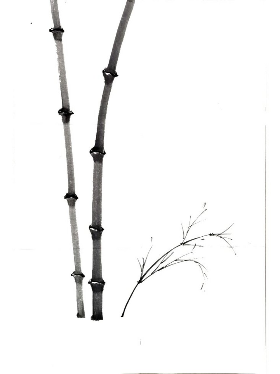 国画入门案例:低耳细静闻疑有声(竹子) p1:案例图 p2—p7:竹竿,竹节