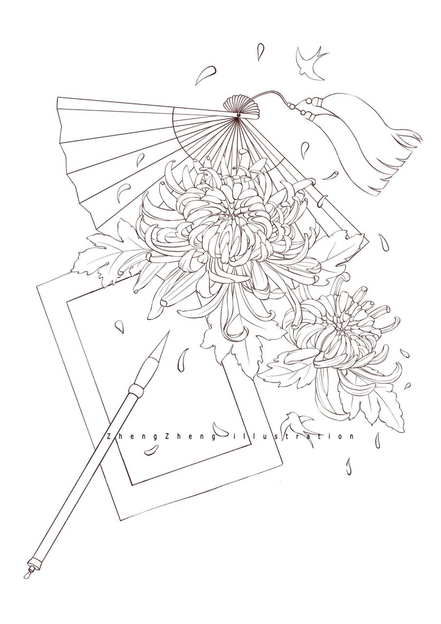 菊花|线稿 工具:ipad pro2022 软件:procreate