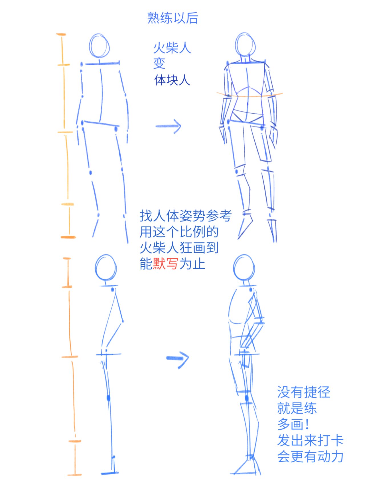 每日无痛跟练打卡