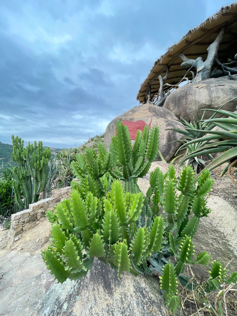 漳州 石岩植物园  非常值得推荐的小众景点91 	 从漳州城区07大约