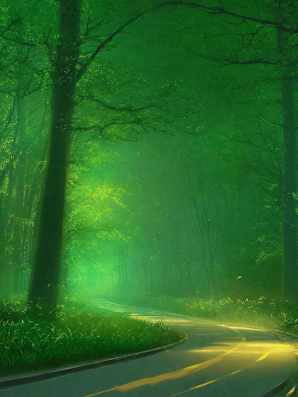 幽静的森林景观·唯美森系壁纸背景图