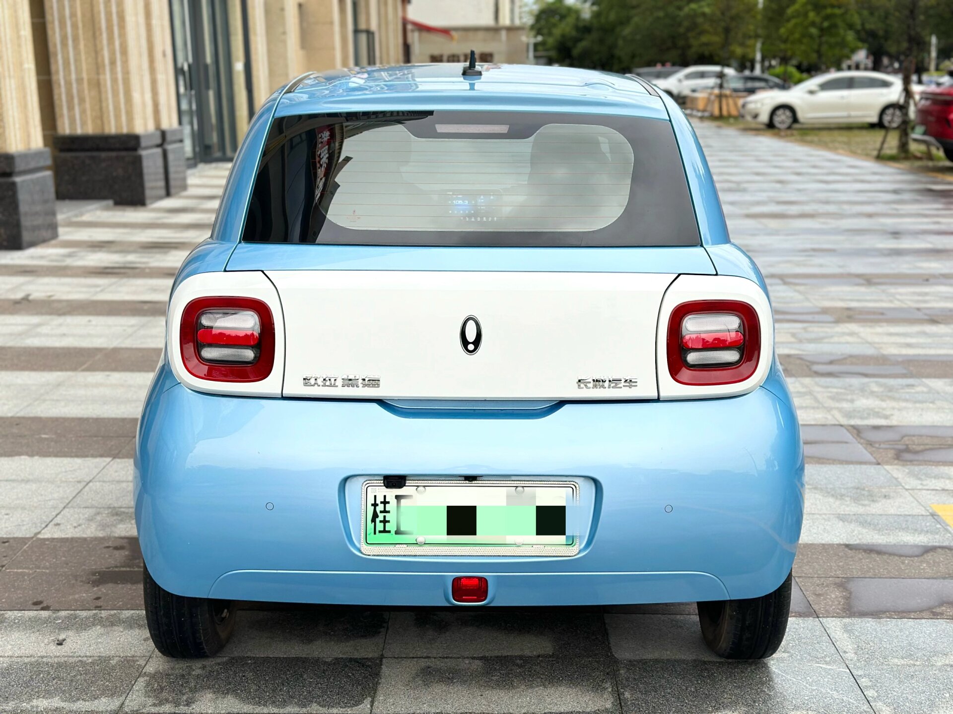 欧拉黑猫301续航 2022年1月24日上牌:22款欧拉黑猫 301续航 萌宠版