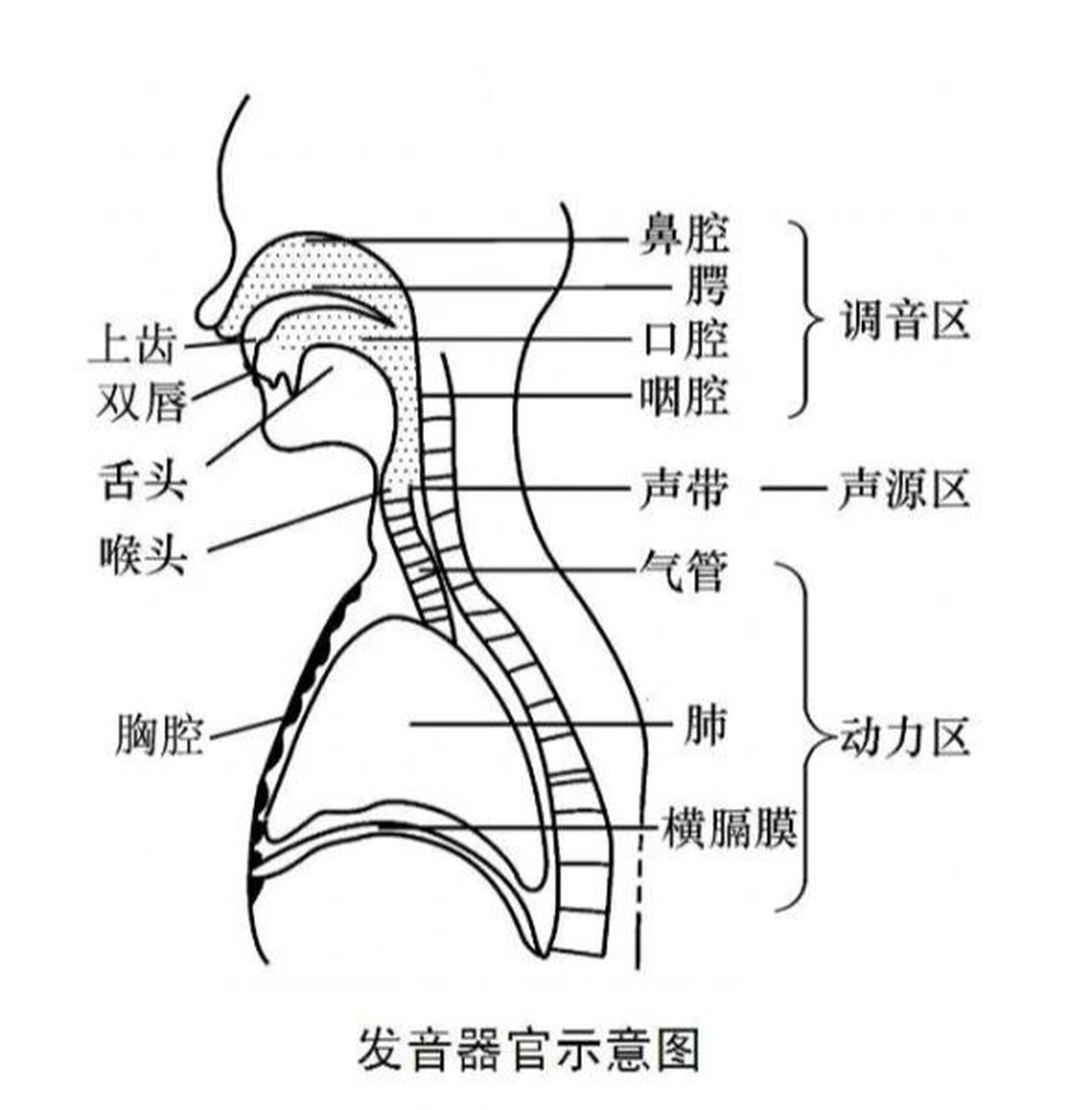 呼麦教学图解图片