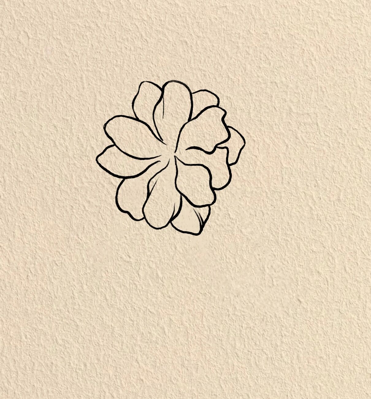 99零基础学画画|海棠花步骤图@孤雁鱼ing的动态