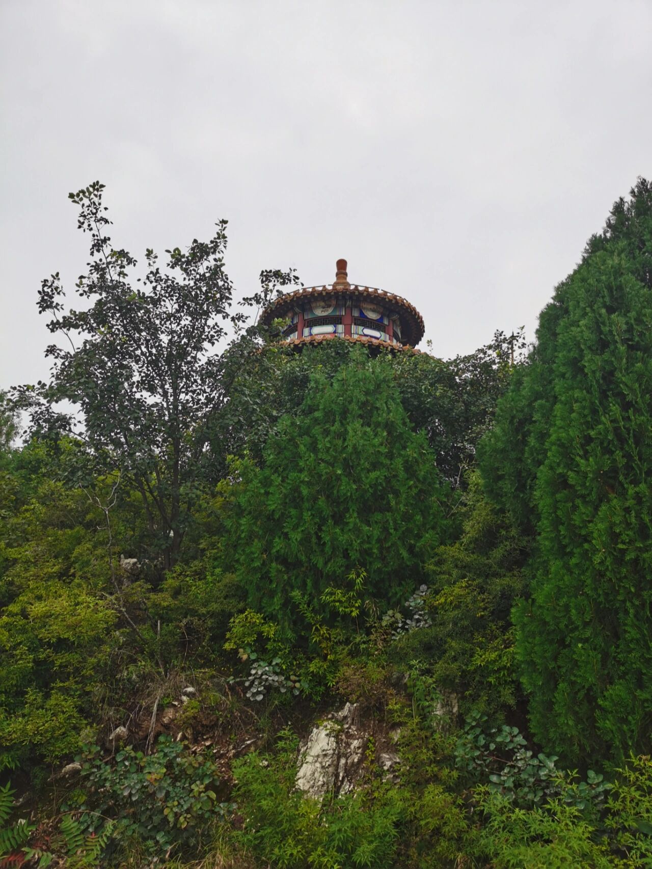 蓟州区一座不用登楼梯的山-府君山公园 推荐原因1.