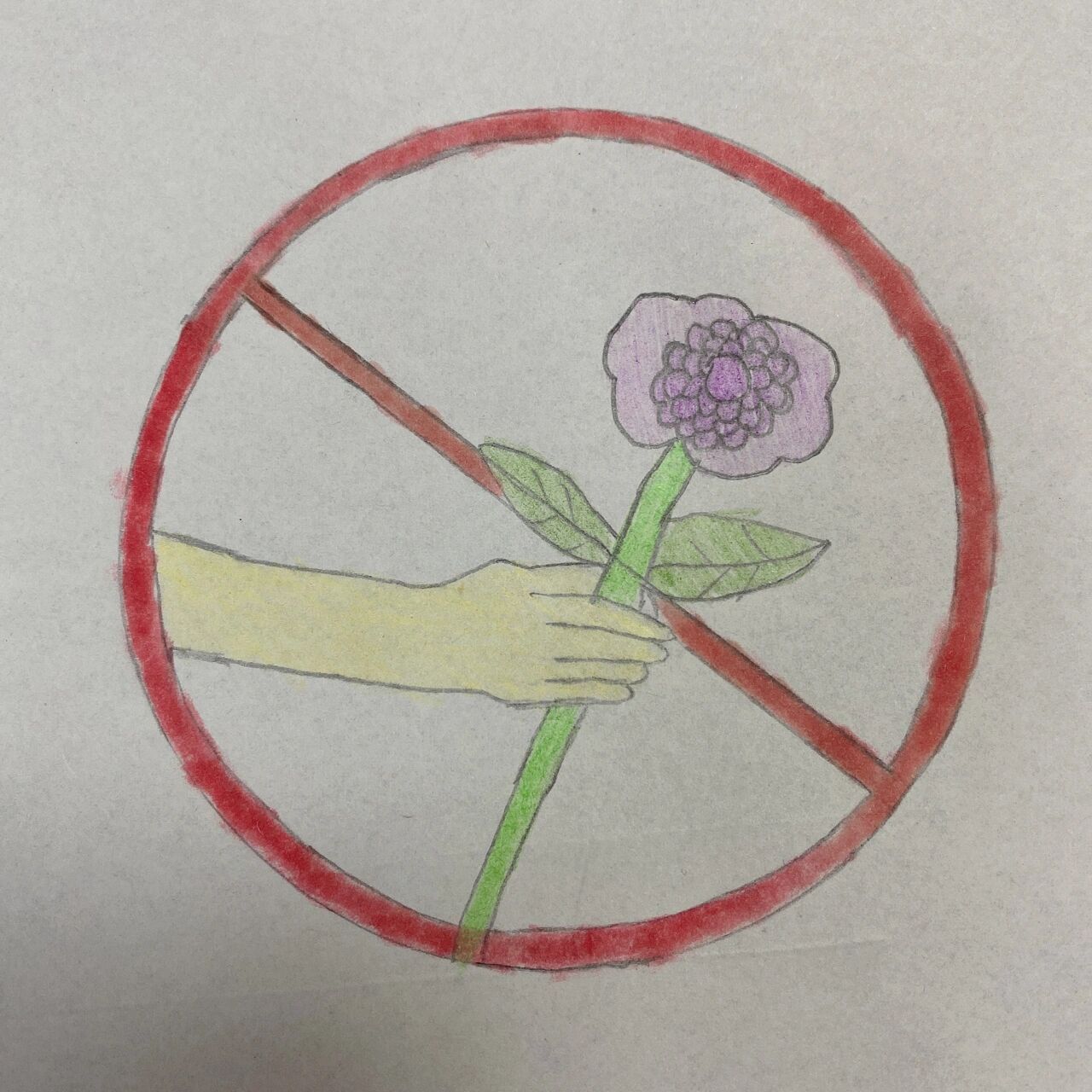 禁止摘花小标志73  	 曦宝贝画