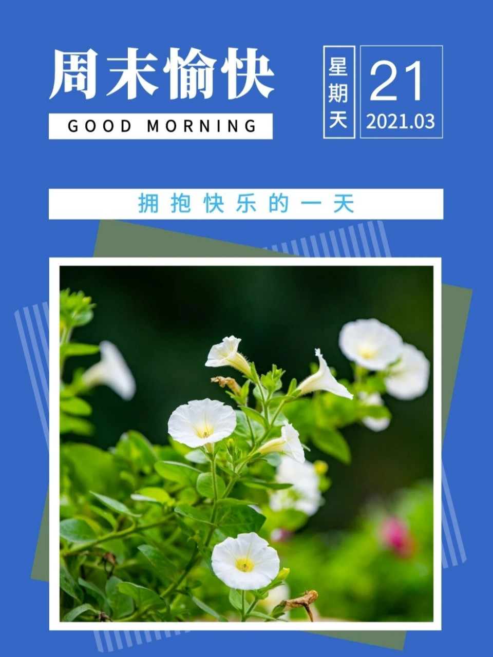 周末文案|周末早安发朋友圈海报图片 96取图取文案:请看主页置顶