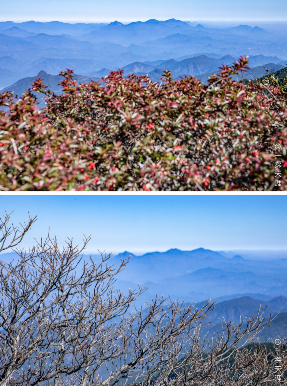 建宁山居云游记##三明山居暖冬节#   晴天的金铙山有多美!