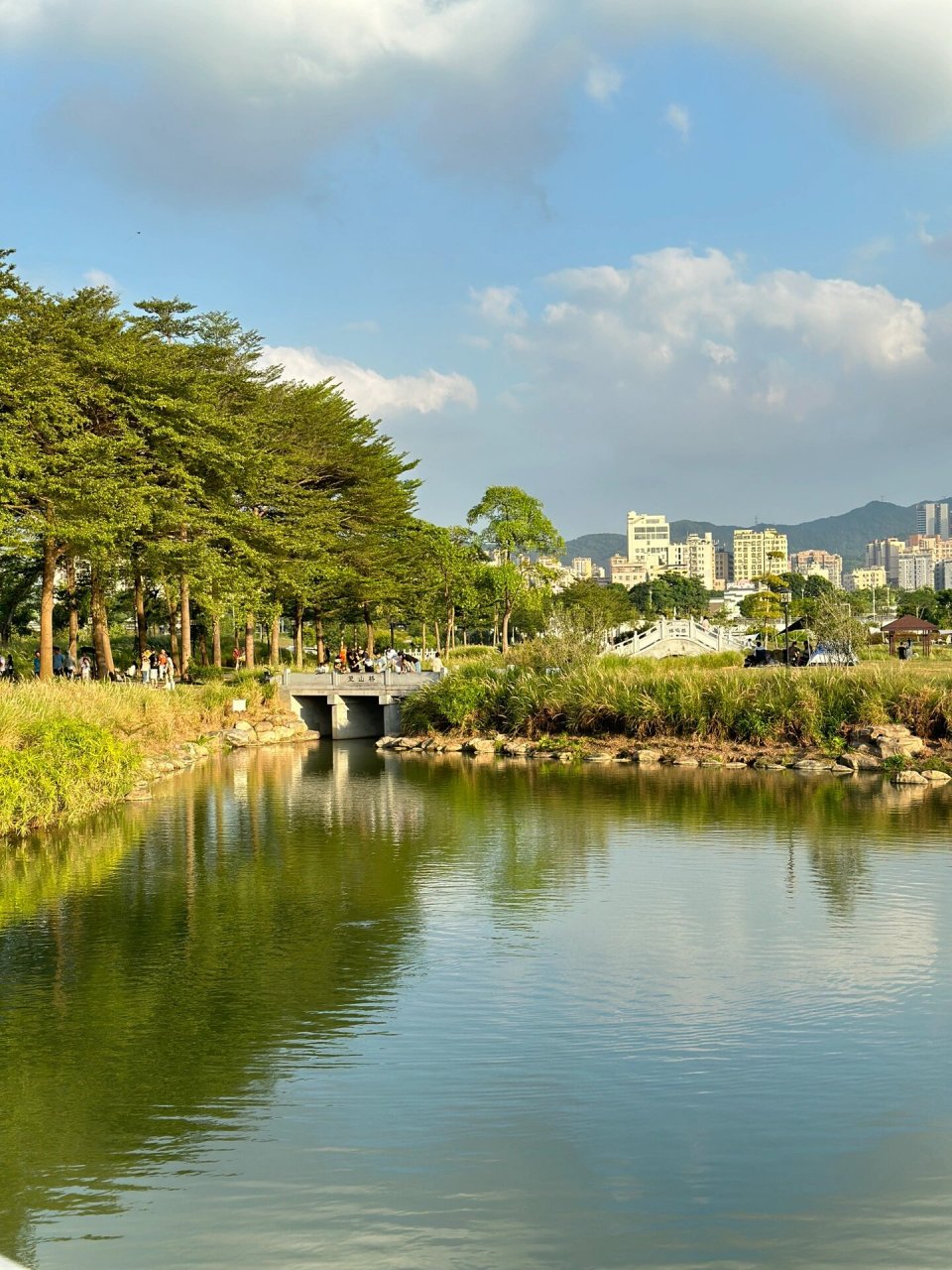 深圳石岩湖湿地公园亲子游攻略 喜欢户外骑行,挖沙,露营的宝贝们一定