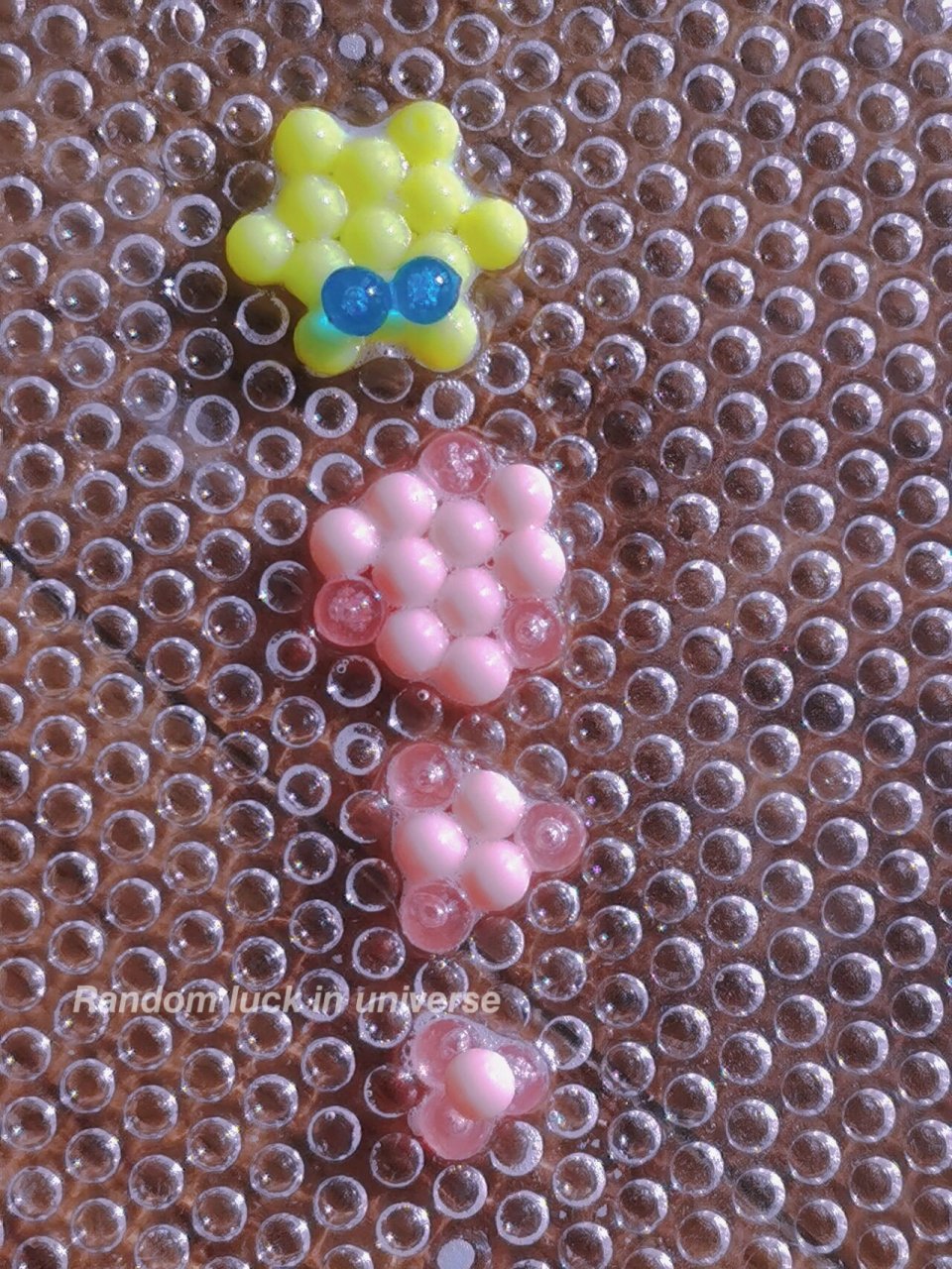 水雾魔珠 寄居蟹教程02