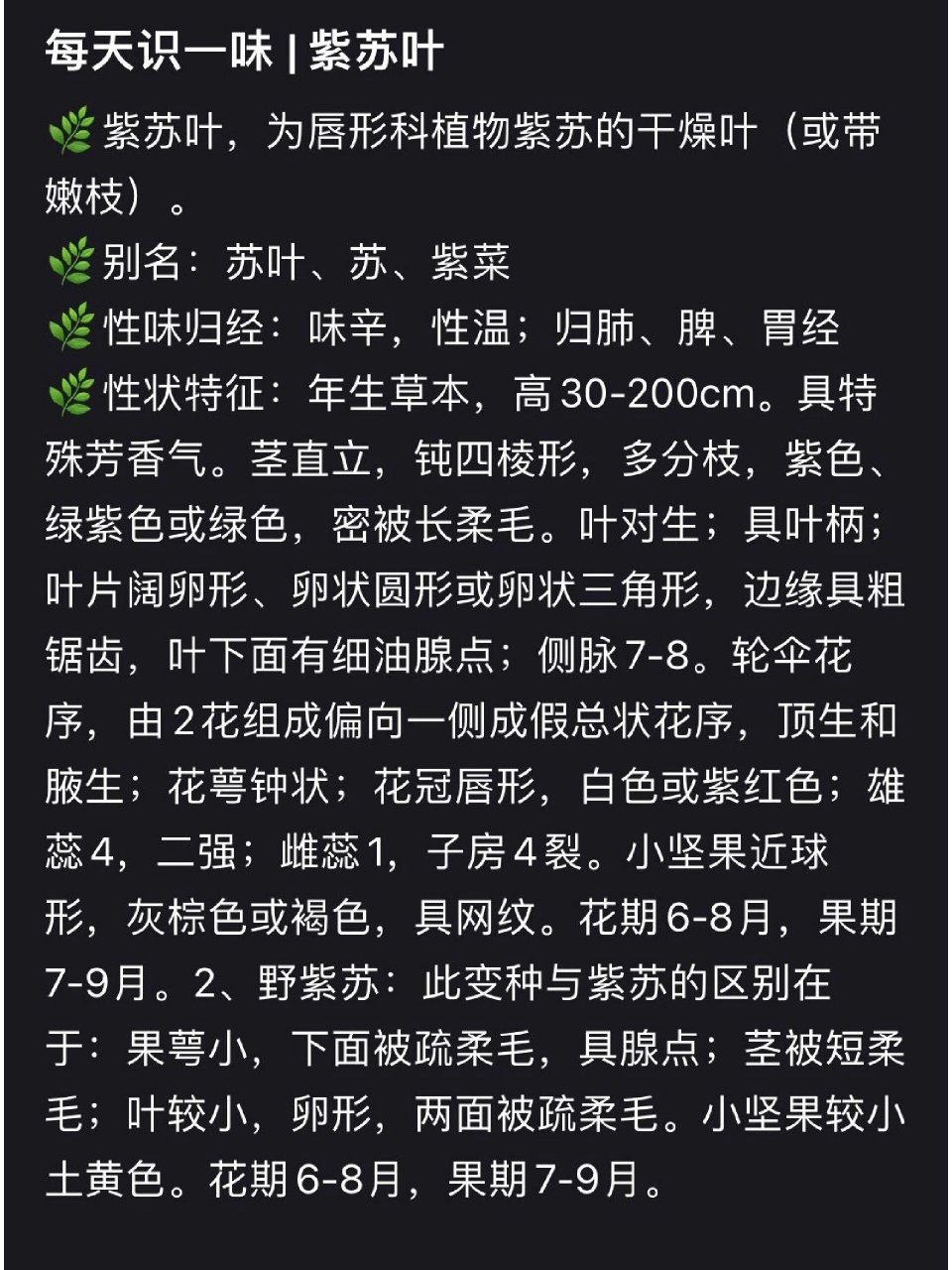 紫苏叶 【中药名】紫苏叶 【别名】头为苏头,梗为苏梗,叶为苏叶,药材