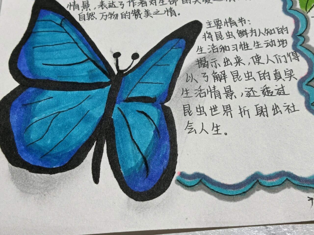 《昆虫记》手抄报 浅画一下吧