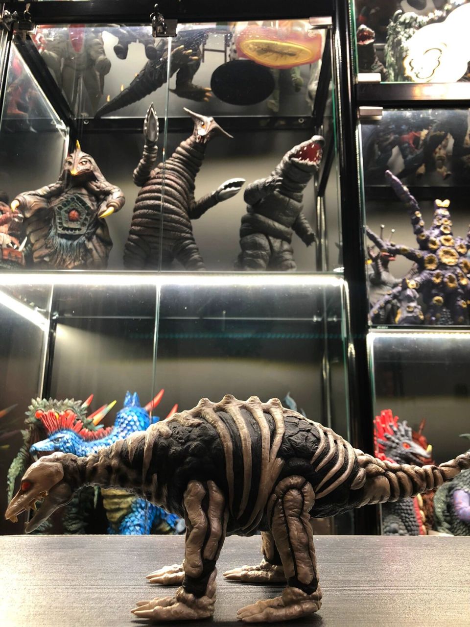 杰克奥特曼 化石恐龙 斯苔贡 登场 中文名     斯苔贡 外文名 ステゴ