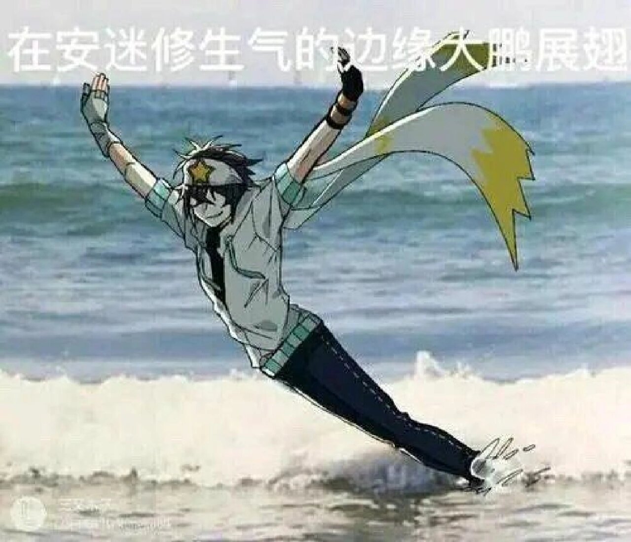 凹凸雷狮表情包