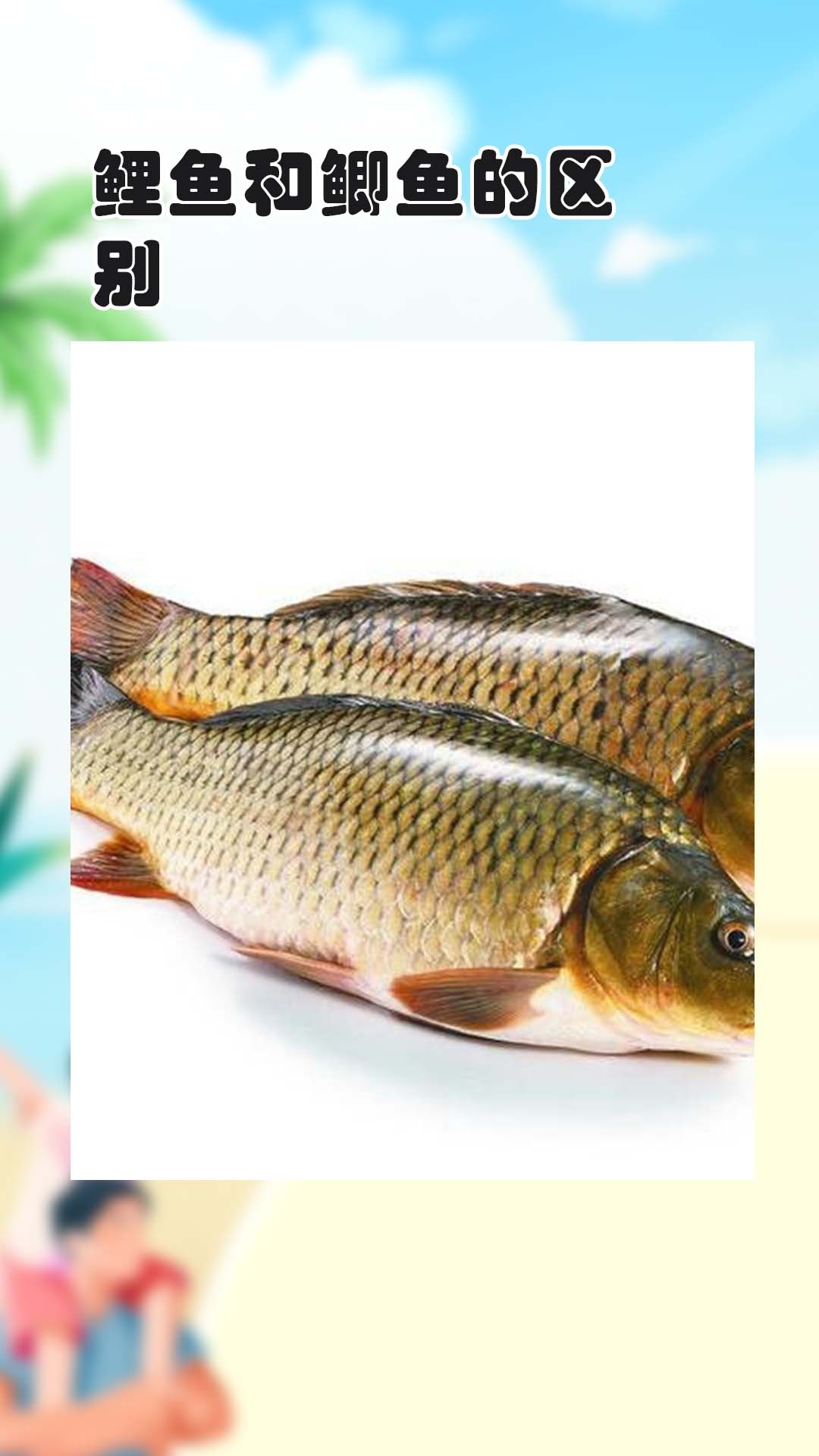 鲤鱼和鲫鱼的区别 1.