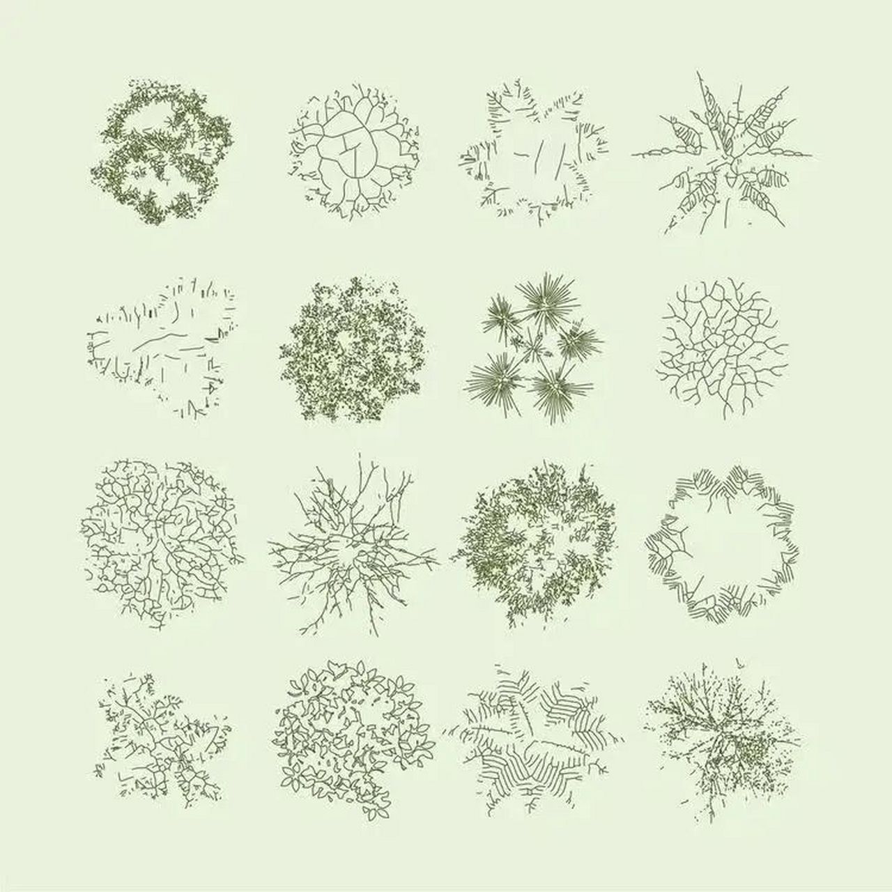 平面树画法,快题必备 平面树的画法,赶紧收藏用上